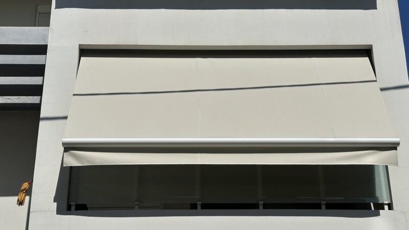 IMG 5966