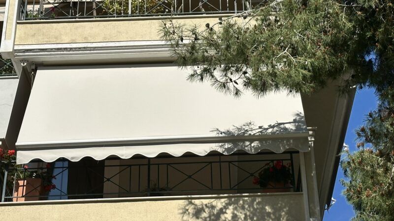 IMG 5987
